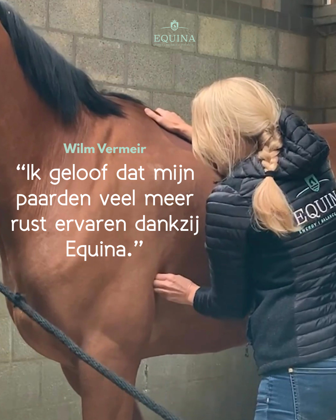 Wilm Vermeir over Equina: ik geloof dat mijn paarden veel meer rust ervaren dankzij Equina