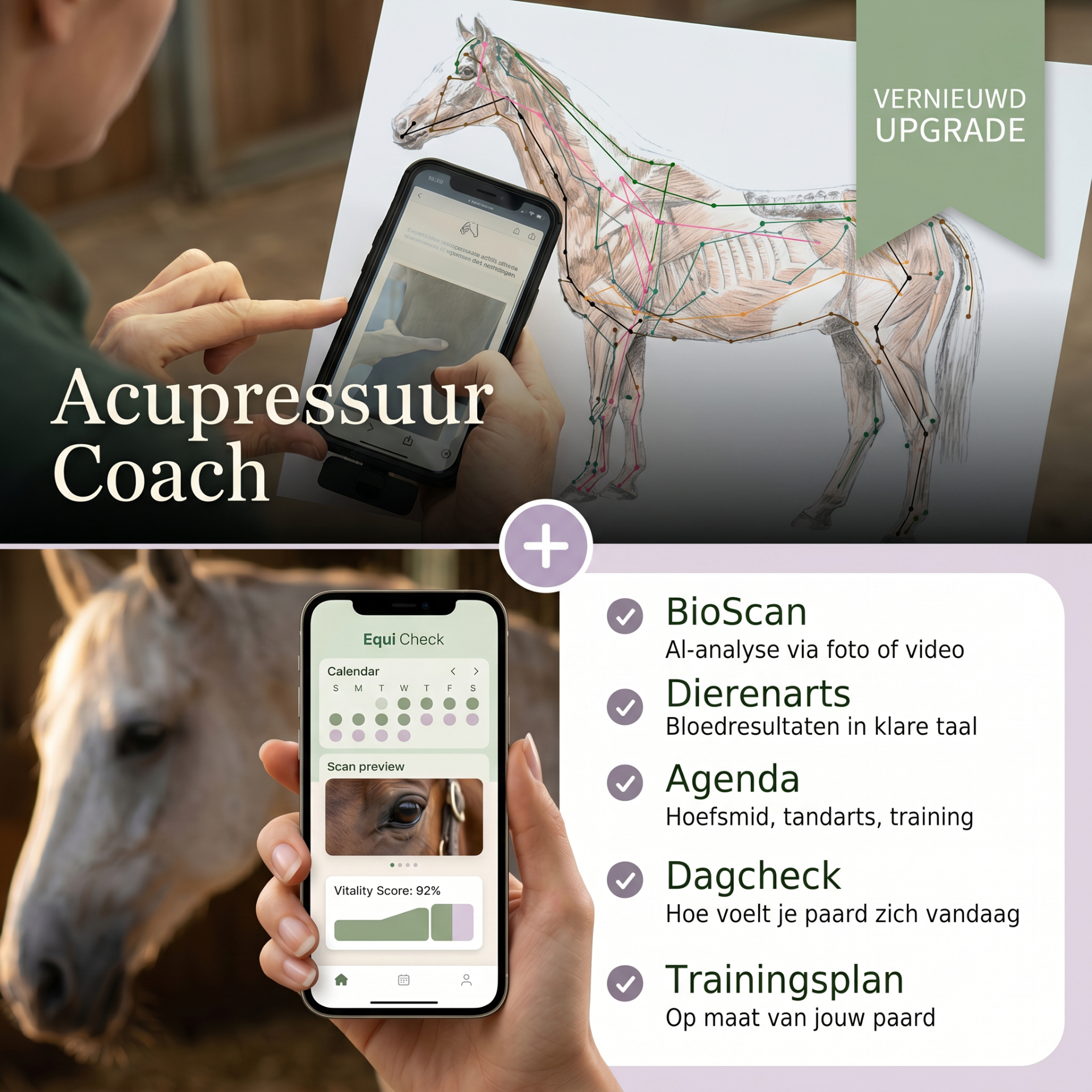 De Acupressuurcoach in één app: stel je vraag en krijg meteen een behandelplan van Evy
