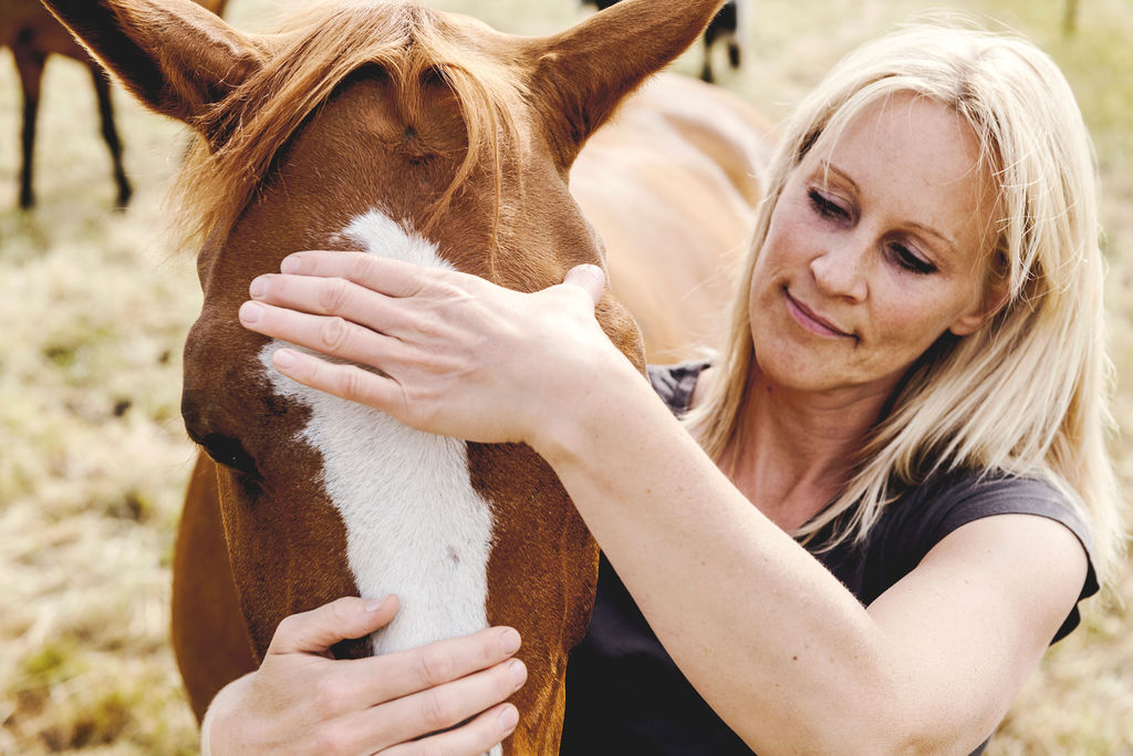 Behandeling voor je paard
