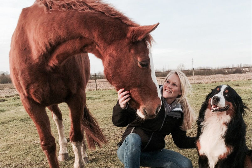Workshop paardenshiatsu